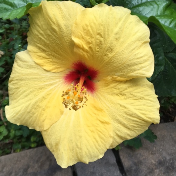 Meet your Posher, Terry - Picture 6 of 6